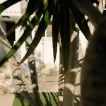 Holiday home Kymo Fig Tree Bay House *